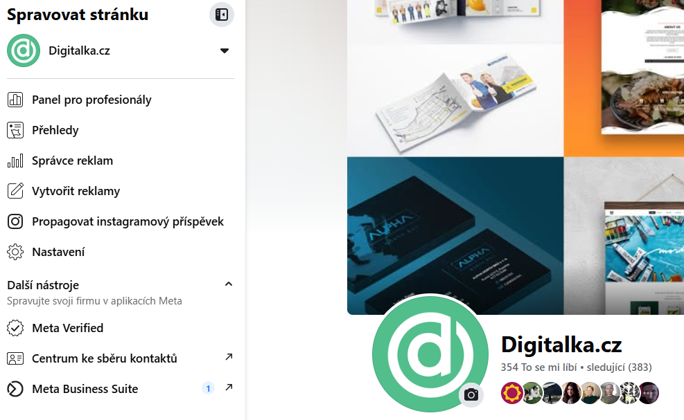 Facebook - Panel pro profesionály